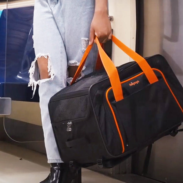 Ibiyaya JetPaw 3-in-1 Pet Stroller/Removable Airline-Approved Carrier | Expandable Rolling Pet Carrier-Backpack Pet Strollers Ibiyaya Silver Circle Pets