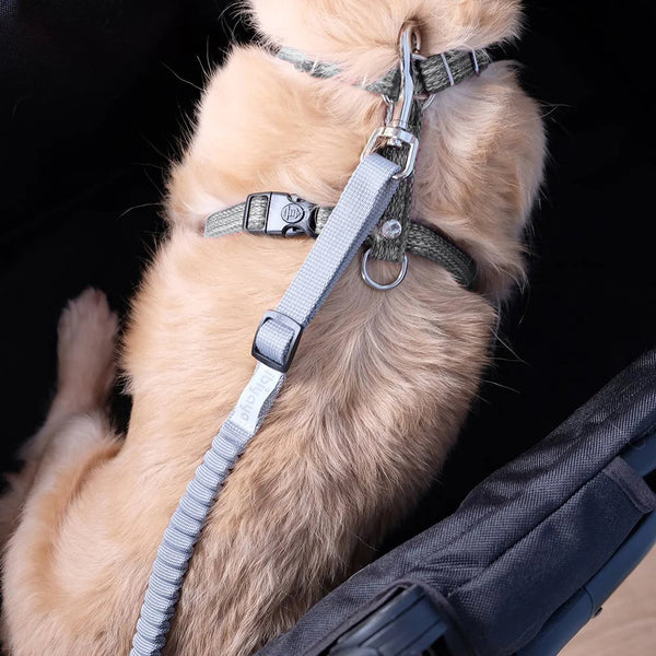 Ibiyaya No Shock! Bungee Leash Extension / Pet Stroller Tether Pet Stroller Replacement Part Ibiyaya Silver Circle Pets