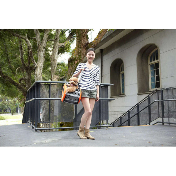 Ibiyaya® 5-in-1 Combo EVA Pet Carrier/Stroller | Luxury Package Pet Strollers Ibiyaya Silver Circle Pets