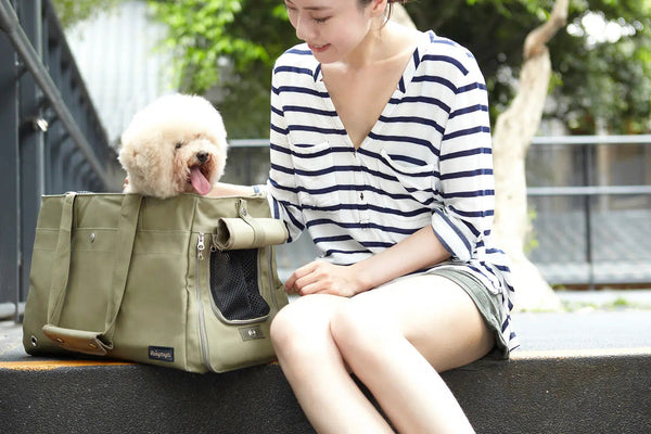 Ibiyaya® Canvas Pet Tote Bag Pet Accessories Ibiyaya Silver Circle Pets