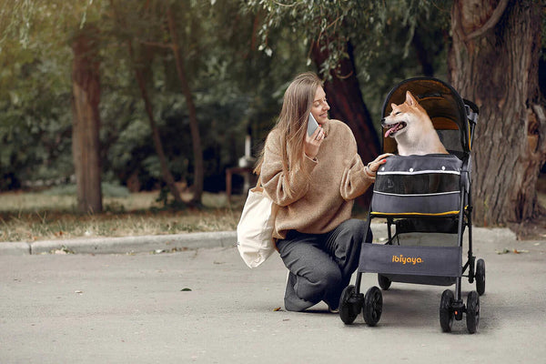 Ibiyaya® Cloud 9 Dog Pram Pet Strollers Ibiyaya Silver Circle Pets