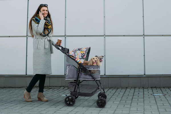 Ibiyaya® Cloud 9 Dog Pram Pet Strollers Ibiyaya Silver Circle Pets