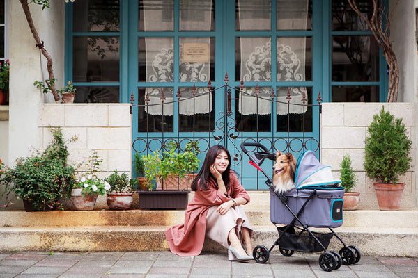 Ibiyaya® Easy Strolling Dog Pram Pet Strollers Ibiyaya Silver Circle Pets