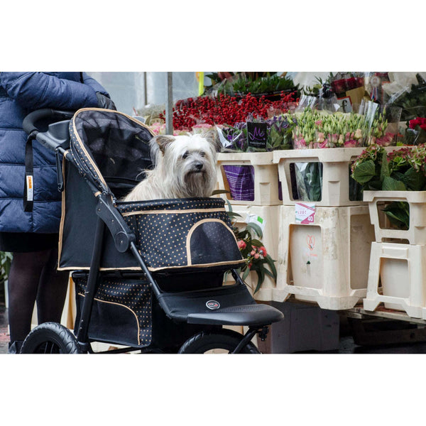 InnoPet® Adventure Dog Pram Pet Strollers Innopet Silver Circle Pets