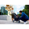 InnoPet® Allure Dog Pram Pet Strollers Innopet Silver Circle Pets