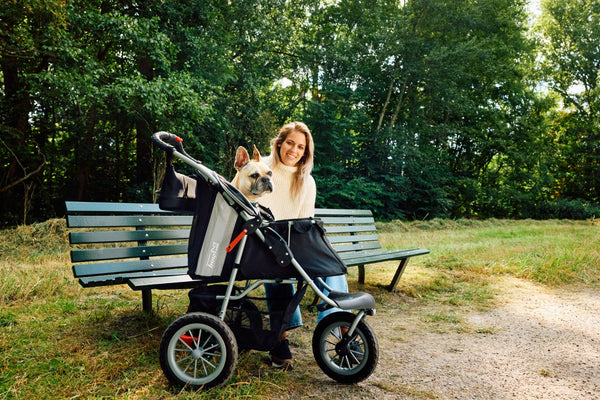 InnoPet® Buggy Comfort EFA ECO Dog Pram V2.0, Silver Circle Pets, Pet Strollers, Innopet,
