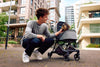 InnoPet® City Buggy Dog Pram + Exclusive Free Gift Pet Strollers Innopet Silver Circle Pets