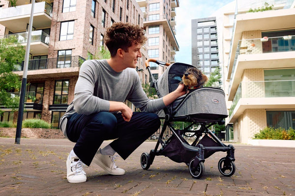 InnoPet® City Buggy Dog Pram + Exclusive Free Gift Pet Strollers Innopet Silver Circle Pets