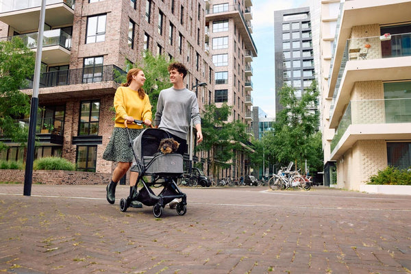 InnoPet® City Buggy Dog Pram + Exclusive Free Gift Pet Strollers Innopet Silver Circle Pets