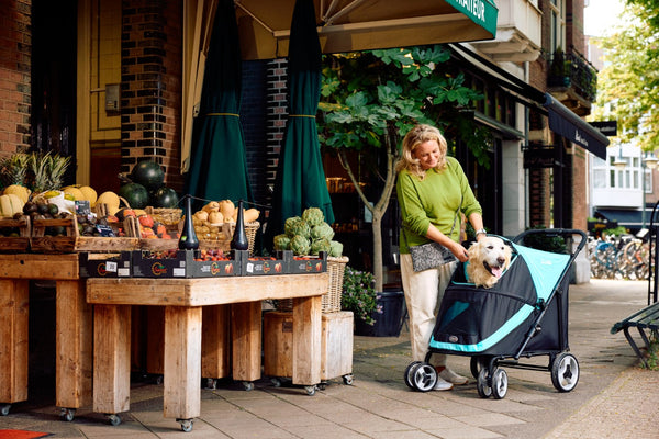 InnoPet® Mamut XL Dog Pram with Free Rain Cover Pet Strollers Innopet Silver Circle Pets