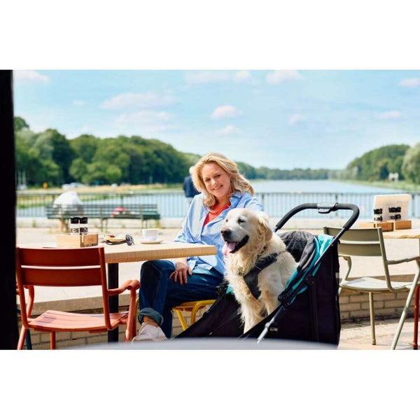 InnoPet® Mamut XL Dog Pram with Free Rain Cover Pet Strollers Innopet Silver Circle Pets