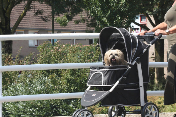 InnoPet® Monaco Dog Pram With Free Rain Cover Dog Stroller InnoPet Silver Circle Pets