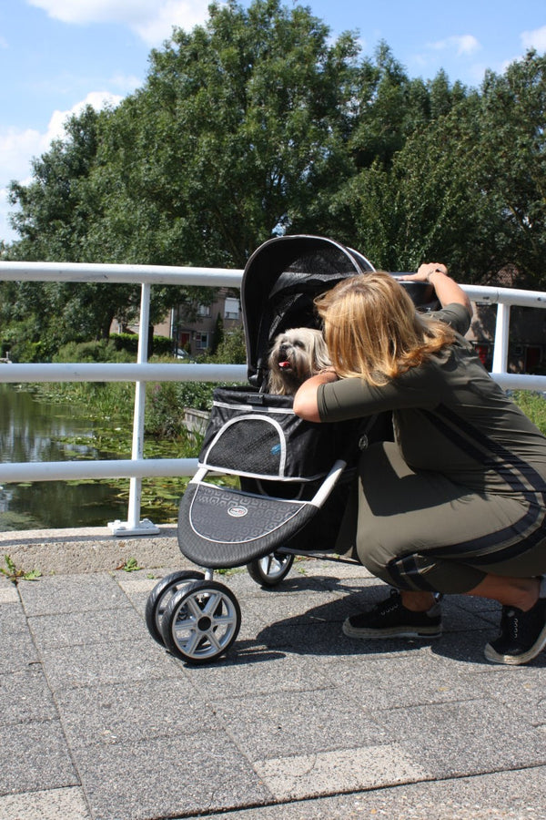 InnoPet® Monaco Dog Pram With Free Rain Cover Dog Stroller InnoPet Silver Circle Pets