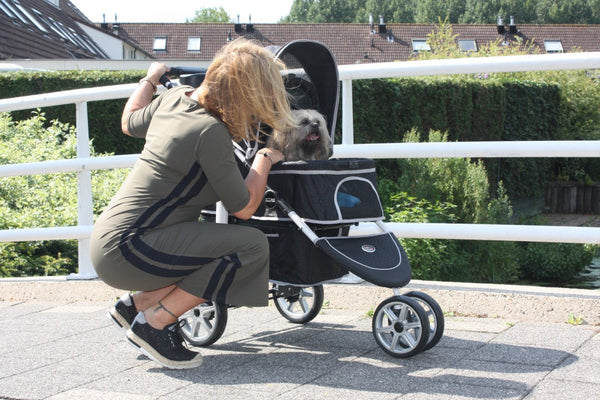 InnoPet® Monaco Dog Pram With Free Rain Cover Dog Stroller InnoPet Silver Circle Pets