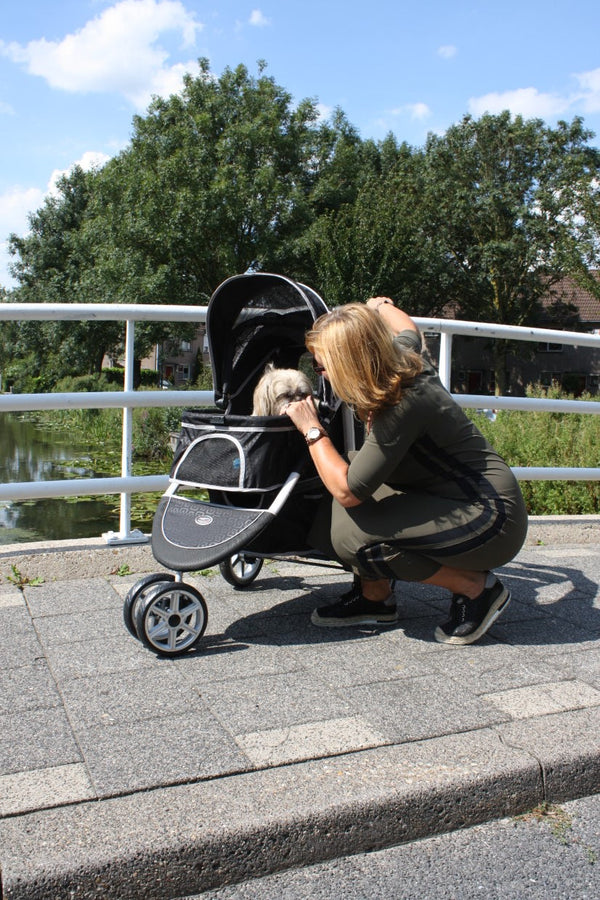 InnoPet® Monaco Dog Pram With Free Rain Cover Dog Stroller InnoPet Silver Circle Pets
