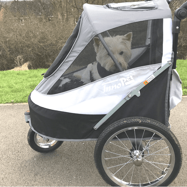 InnoPet® Sporty Deluxe Pet Pram & Dog Bike Trailer with Free Rain Cover Pet Strollers Innopet Silver Circle Pets