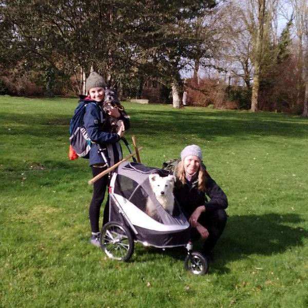 InnoPet® Sporty Deluxe Pet Pram & Dog Bike Trailer with Free Rain Cover Pet Strollers Innopet Silver Circle Pets