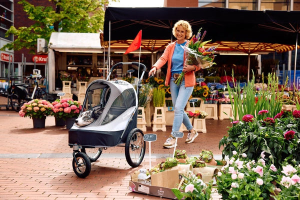 InnoPet® Sporty Deluxe Pet Pram & Dog Bike Trailer with Free Rain Cover Pet Strollers Innopet Silver Circle Pets