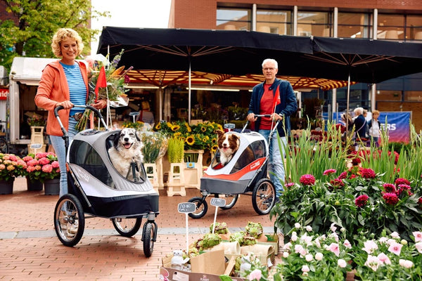 InnoPet® Sporty Deluxe Pet Pram & Dog Bike Trailer with Free Rain Cover Pet Strollers Innopet Silver Circle Pets