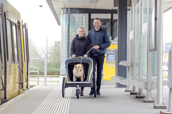 Innopet® Hercules 2.0 XL Dog Stroller & Trailer, Silver Circle Pets, Pet Strollers, Innopet,