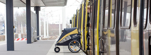 Innopet® Hercules 2.0 XL Dog Stroller & Trailer with Free Rain Cover Pet Strollers Innopet Silver Circle Pets