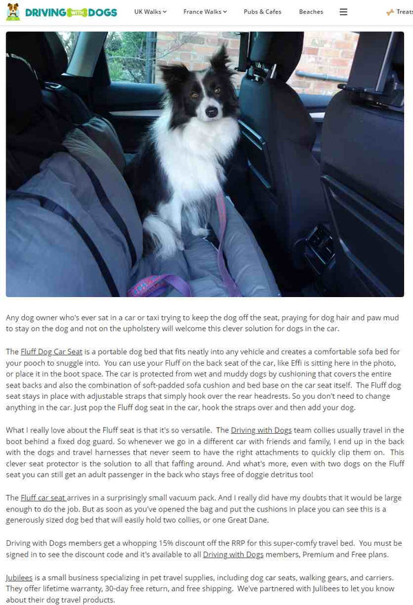 Julibee Fluff Dog Car Seat Bed Dog Car Seat Julibees Silver Circle Pets