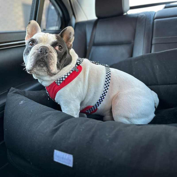 Julibee Luxury Large Dog Car Seat Bed Dog Car Seat Julibees Silver Circle Pets