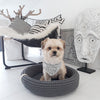 Labbvenn COCO Pet Bed Dog Bed Labbvenn Silver Circle Pets