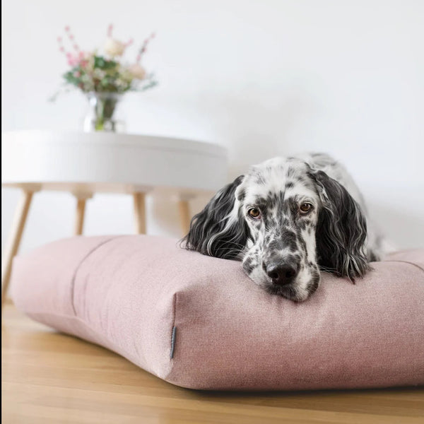 Labbvenn FINNO Dog Cushion Dog Bed Labbvenn Silver Circle Pets