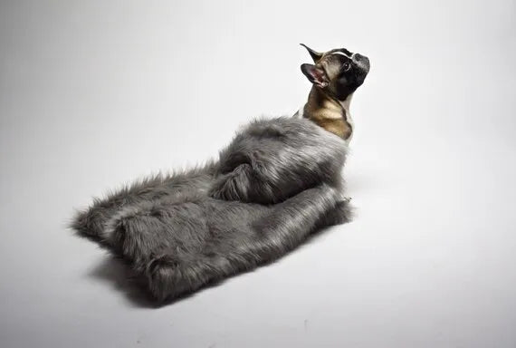 Labbvenn FÖRA Dog Blanket Blanket Labbvenn Silver Circle Pets