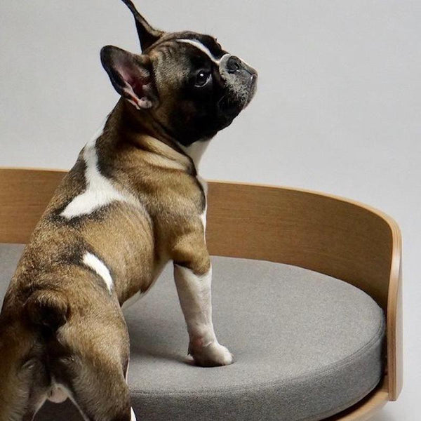 Labbvenn LOUE Dog Bed Dog Bed Labbvenn Silver Circle Pets