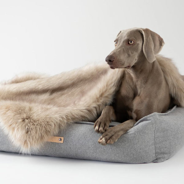 Labbvenn MØVIK Dog Bed Dog Bed Labbvenn Silver Circle Pets
