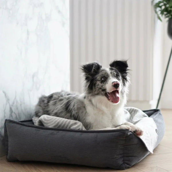 Labbvenn STRIPPO Dog Bed Dog Bed Labbvenn Silver Circle Pets