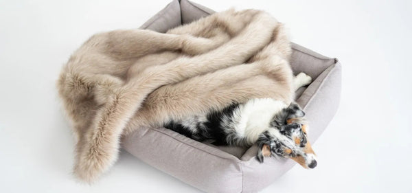 Labbvenn TÖSSE Dog Blanket Blanket Labbvenn Silver Circle Pets