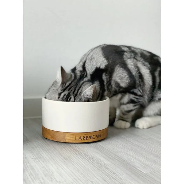 Labbvenn VUKU Ceramic Single Buffet Pet Bowls, Feeders & Waterers Labbvenn Silver Circle Pets