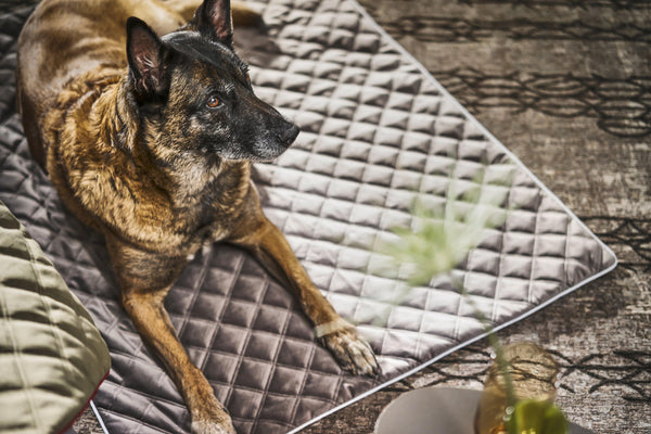 Laboni Multifunctional Outdoor and Travel Dog Blanket Oxford Dog Blanket Laboni Silver Circle Pets