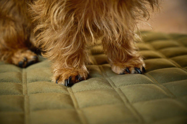 Laboni Multifunctional Outdoor and Travel Dog Blanket Oxford Dog Blanket Laboni Silver Circle Pets