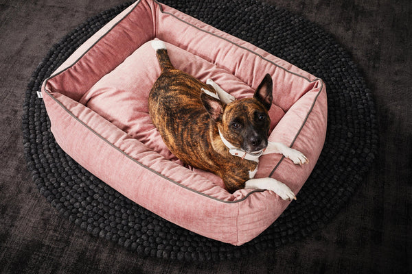 Laboni Orthopaedic Dog Bed Glam Dog Bed Laboni Silver Circle Pets