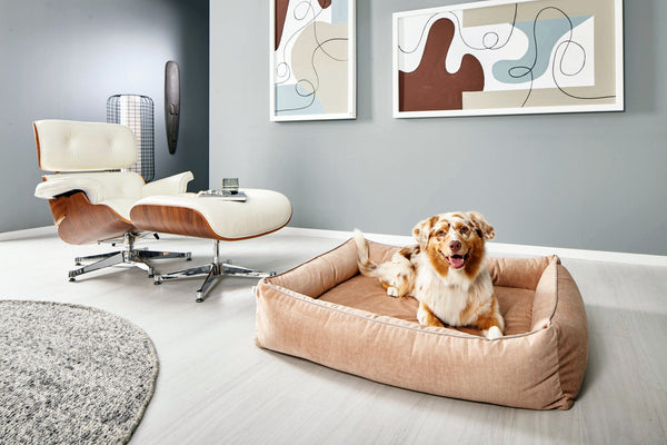 Laboni Orthopaedic Dog Bed Glam Dog Bed Laboni Silver Circle Pets