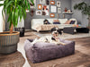 Laboni Orthopaedic Dog Bed Glam Dog Bed Laboni Silver Circle Pets