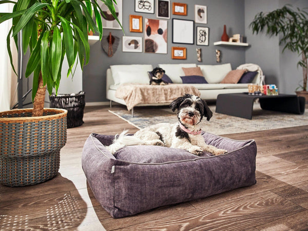 Laboni Orthopaedic Dog Bed Glam Dog Bed Laboni Silver Circle Pets