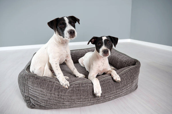 Laboni Orthopaedic Dog Bed Nova Dog Bed Laboni Silver Circle Pets