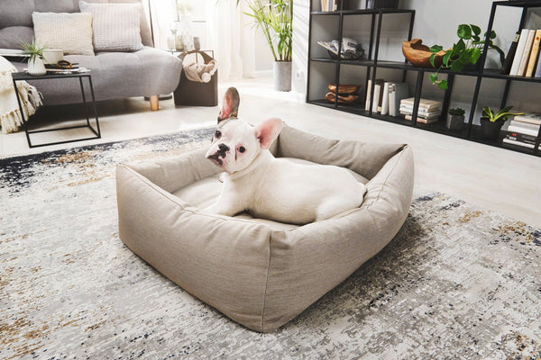 Laboni Orthopaedic Dog Bed Smooth Dog Bed Laboni Silver Circle Pets