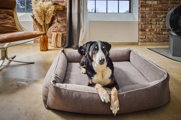 Laboni Orthopaedic Dog Bed Teddy Dog Bed Laboni Silver Circle Pets