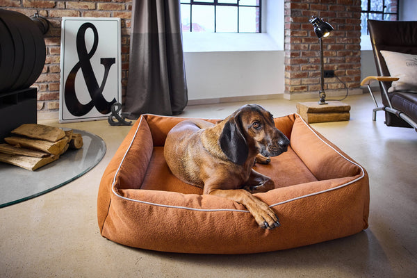 Laboni Orthopaedic Dog Bed Teddy Dog Bed Laboni Silver Circle Pets