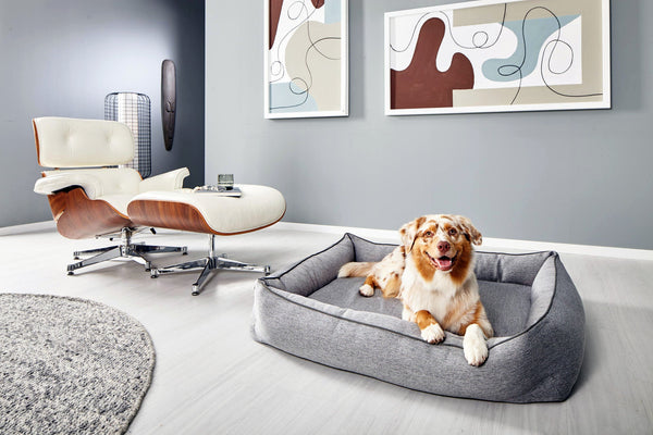 Laboni Orthopaedic Dog Bed Uno Dog Bed Laboni Silver Circle Pets