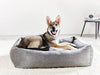 Laboni Orthopaedic Dog Bed Uno Dog Bed Laboni Silver Circle Pets