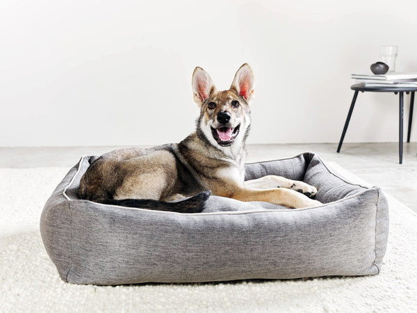 Laboni Orthopaedic Dog Bed Uno Dog Bed Laboni Silver Circle Pets