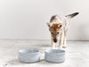 Laboni Soapstone Dog & Cat Bowl Rocky Pet Bowls, Feeders & Waterers Laboni Silver Circle Pets