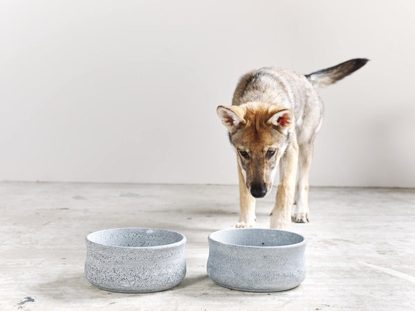 Laboni Soapstone Dog & Cat Bowl Rocky Pet Bowls, Feeders & Waterers Laboni Silver Circle Pets